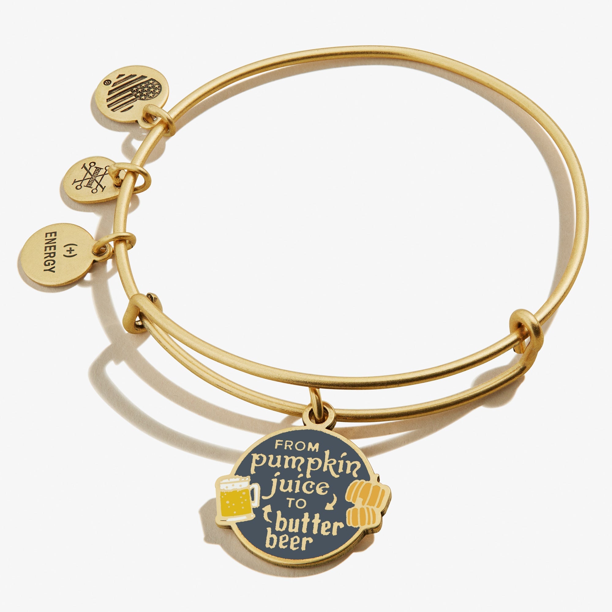 Harry Potter™ 'From Pumpkin Juice to Butter Beer' Charm Bangle Bracelet Rafaelian Gold | Alex and Ani