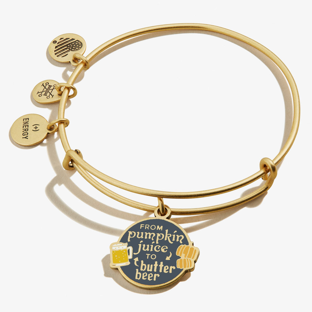 Harry Potter™ 'From Pumpkin Juice to Butter Beer' Charm Bangle Bracelet Rafaelian Gold | Alex and Ani