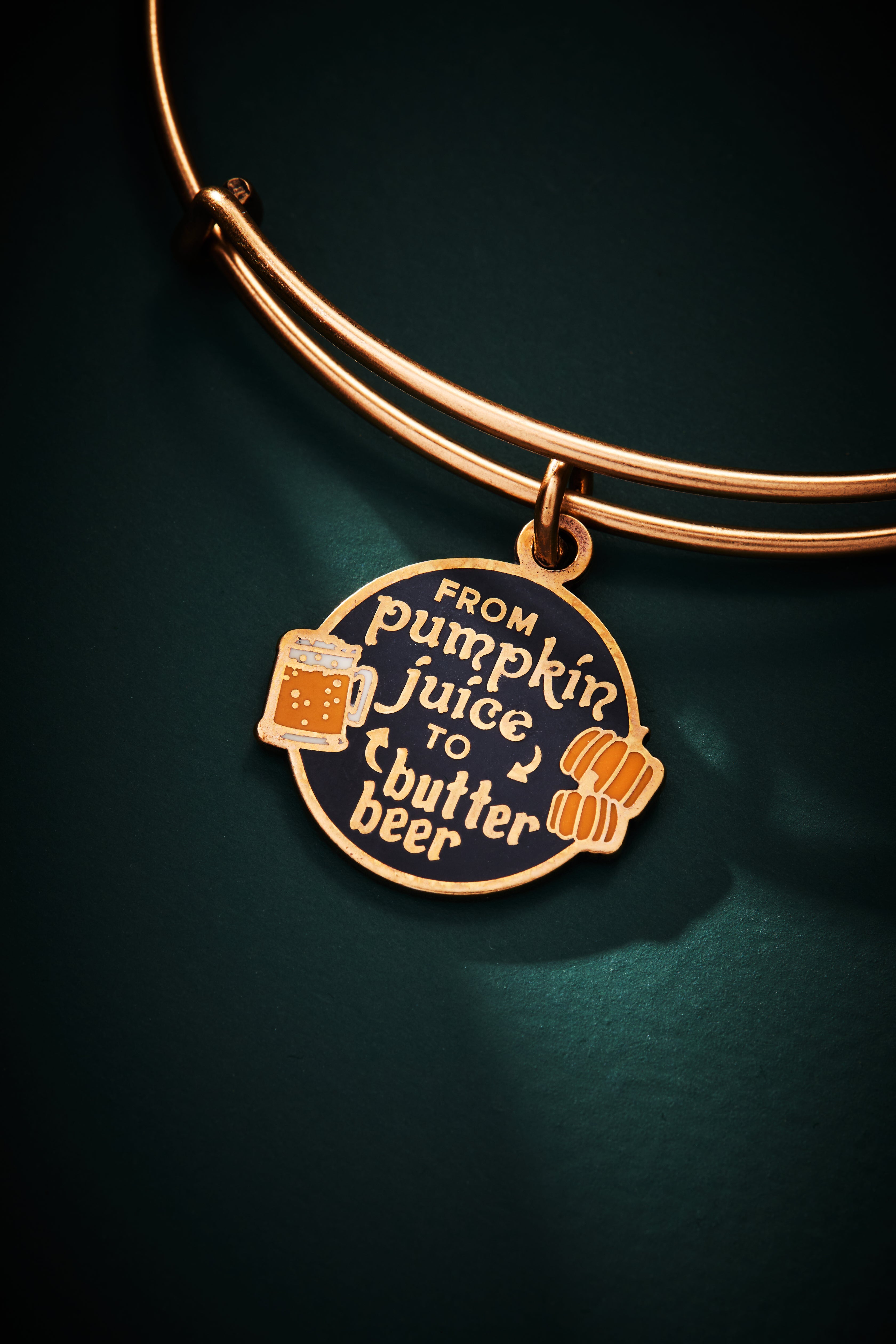 Harry Potter™ 'From Pumpkin Juice to Butter Beer' Charm Bangle Bracelet Rafaelian Gold | Alex and Ani