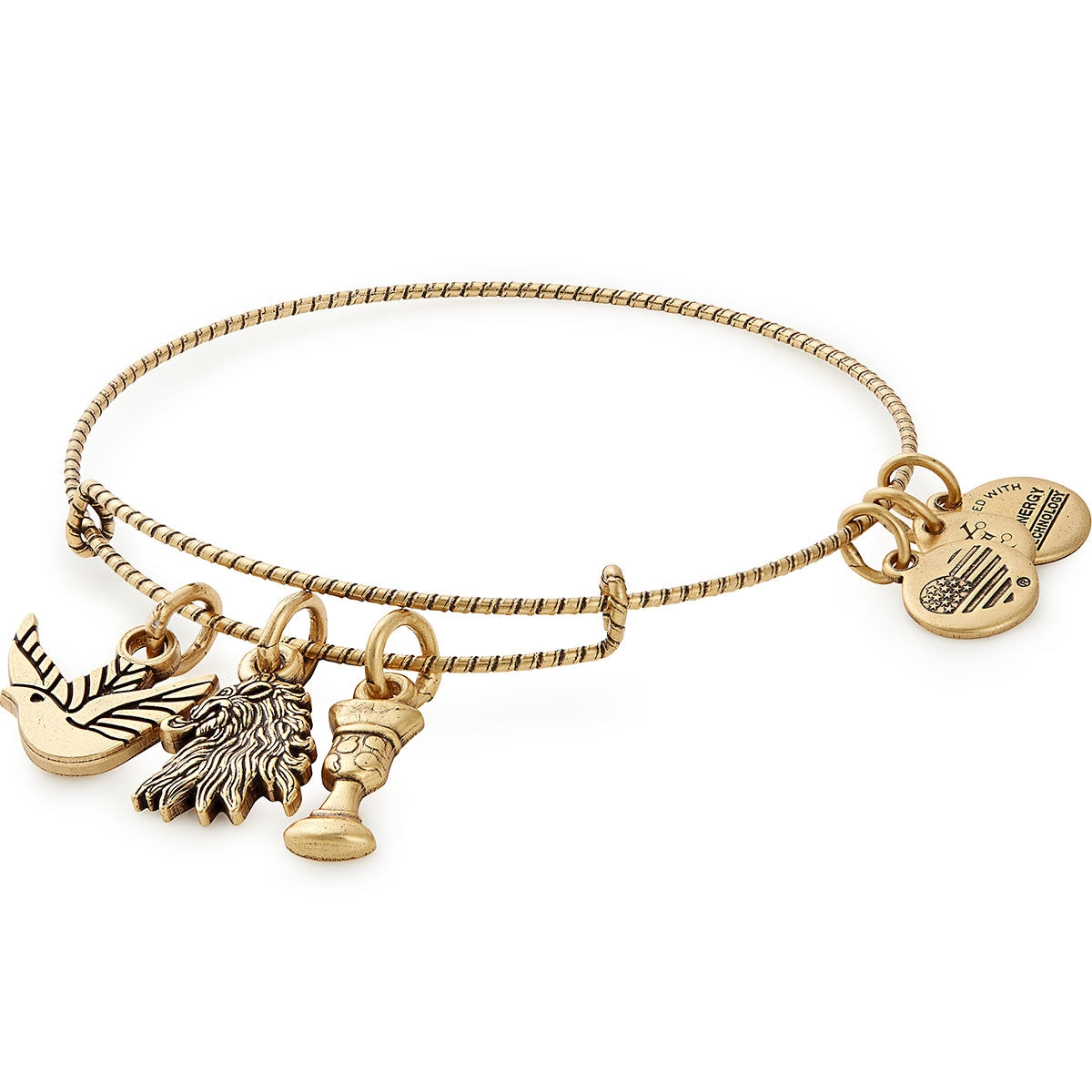 Game of Thrones™ House Lannister Charm Bangle - Alex and Ani Rafaelian Gold | Alex and Ani