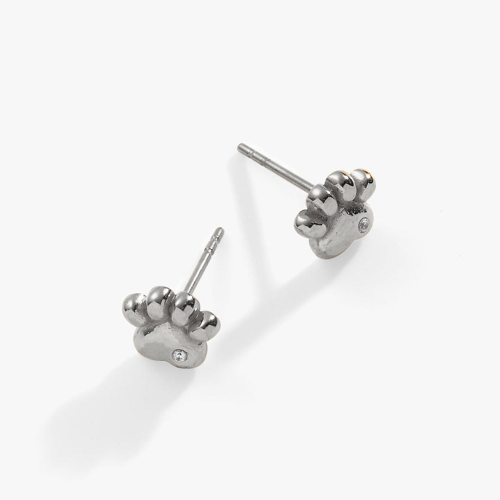 Paw Print Mini Stud Earrings Stainless Steel Silver | Alex and Ani