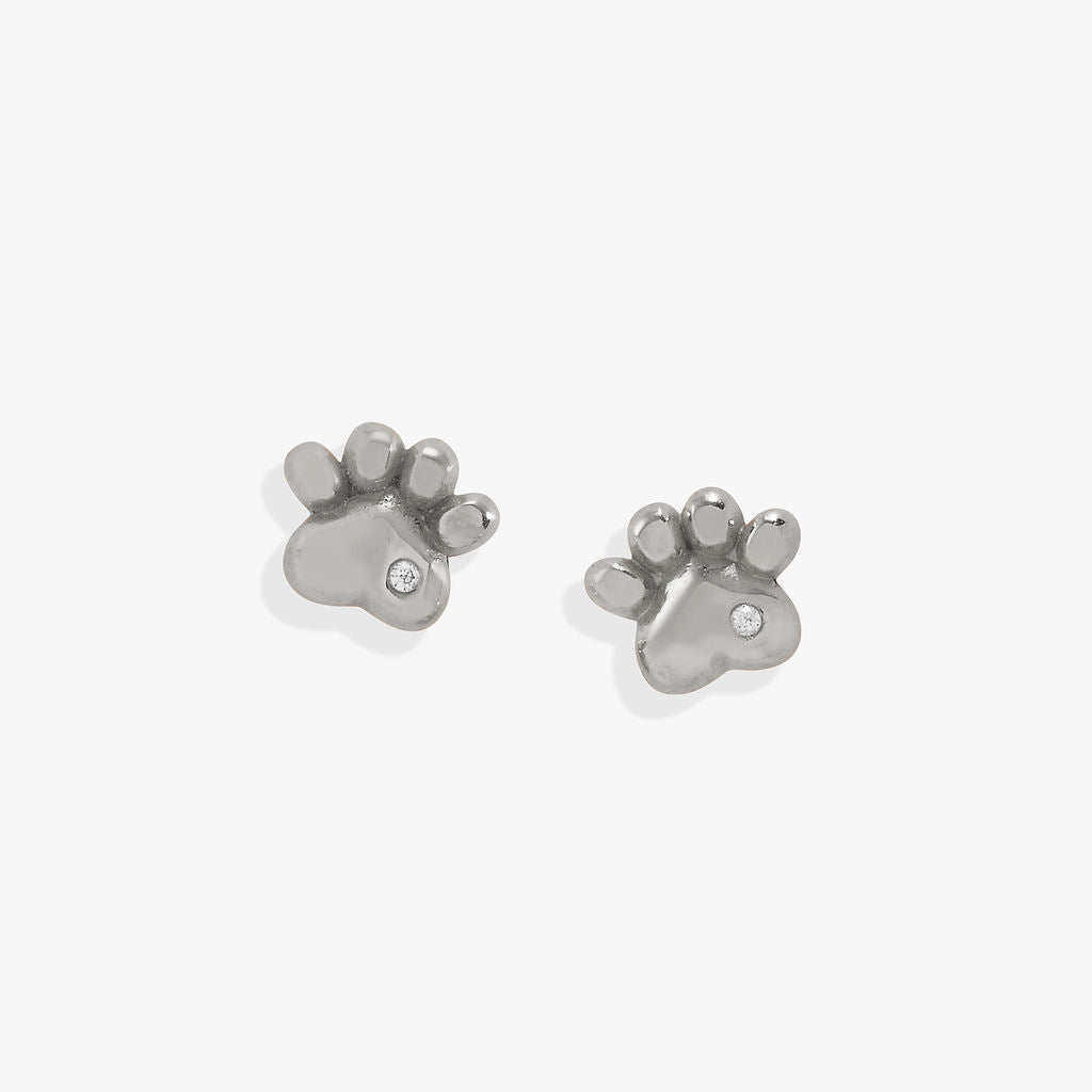 Paw Print Mini Stud Earrings Stainless Steel Silver | Alex and Ani