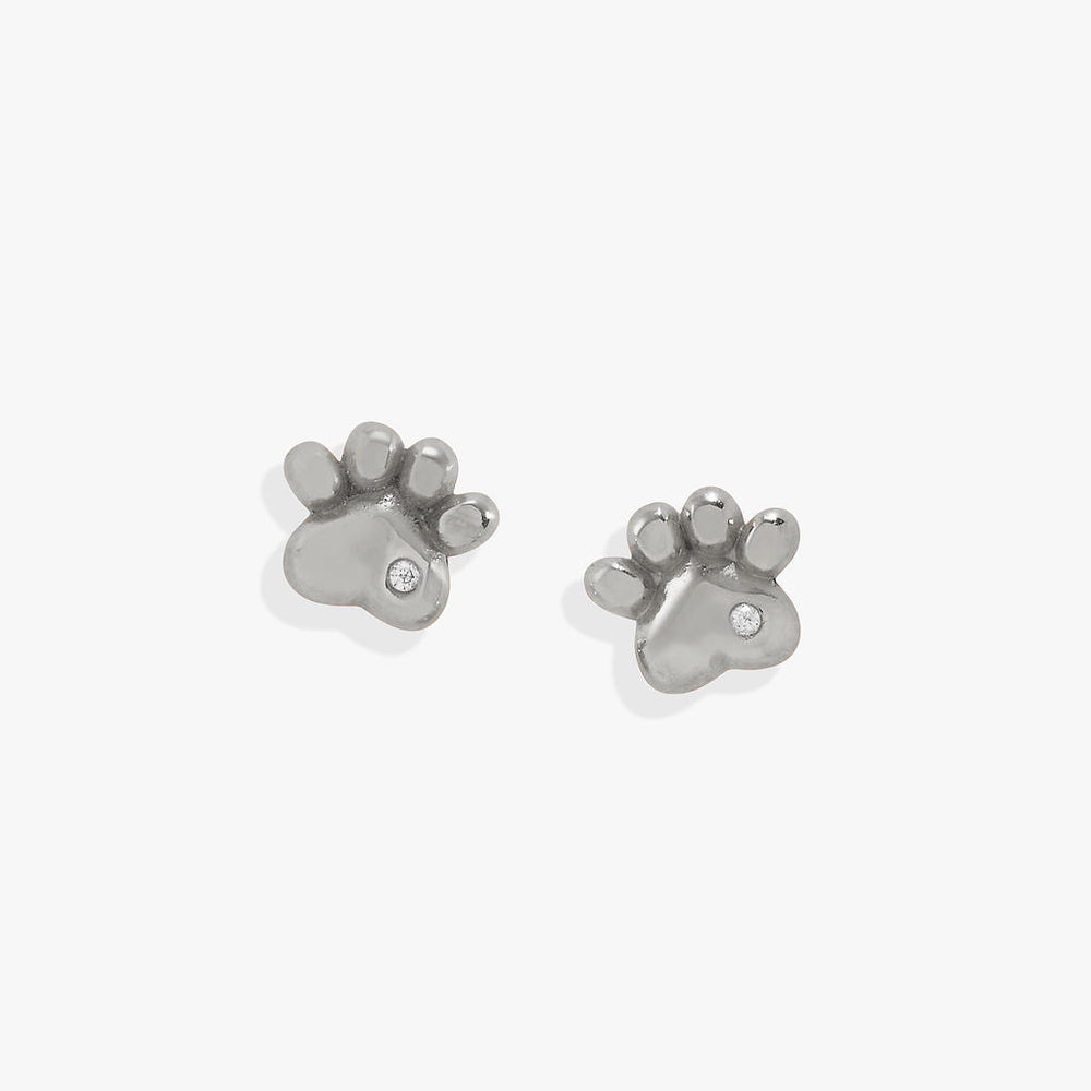 Paw Print Mini Stud Earrings Stainless Steel Silver | Alex and Ani