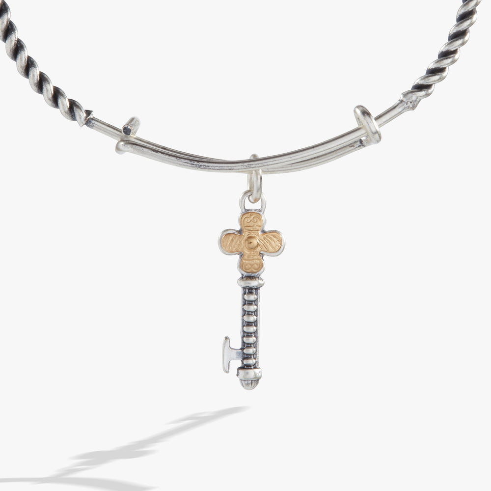 Antique Key Charm Bangle Two Tone | Alex and Ani