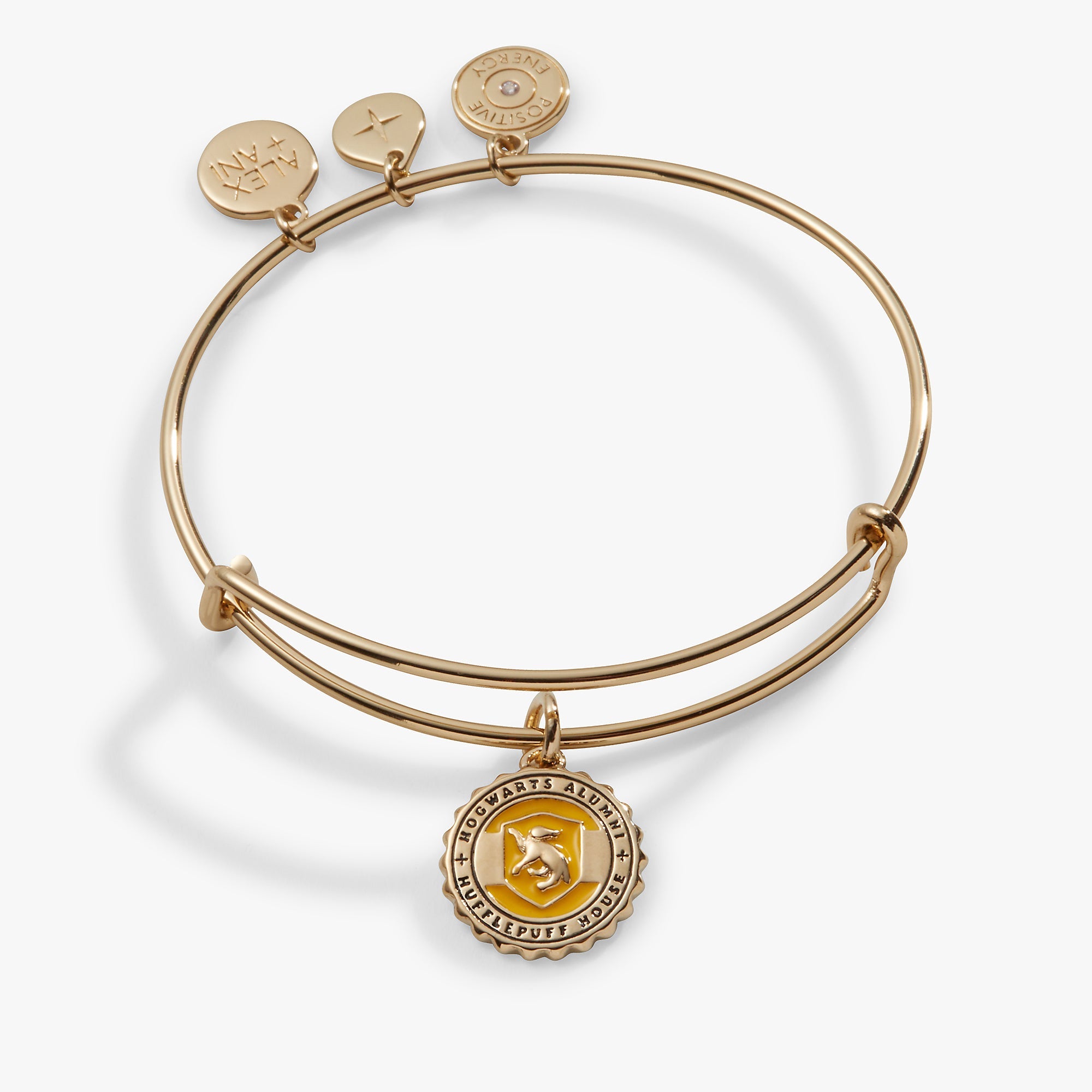 Harry Potter™ Hufflepuff House Charm Bangle Gold | Alex and Ani