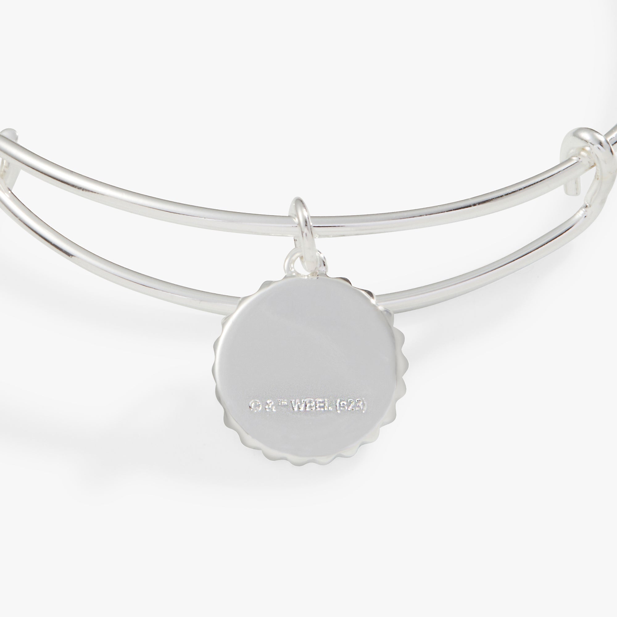 Harry Potter™ Slytherin House Charm Bangle Silver | Alex and Ani