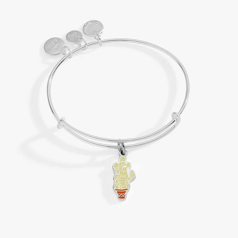 Harry Potter™ Neville Mimbulus Mimbletonia Cactus Charm Bangle Shiny Silver | Alex and Ani
