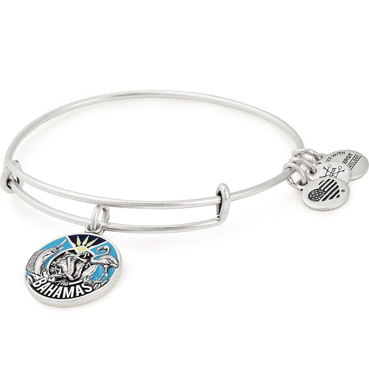 Bahamas Charm Bangle Bracelet Rafaelian Gold | Alex and Ani