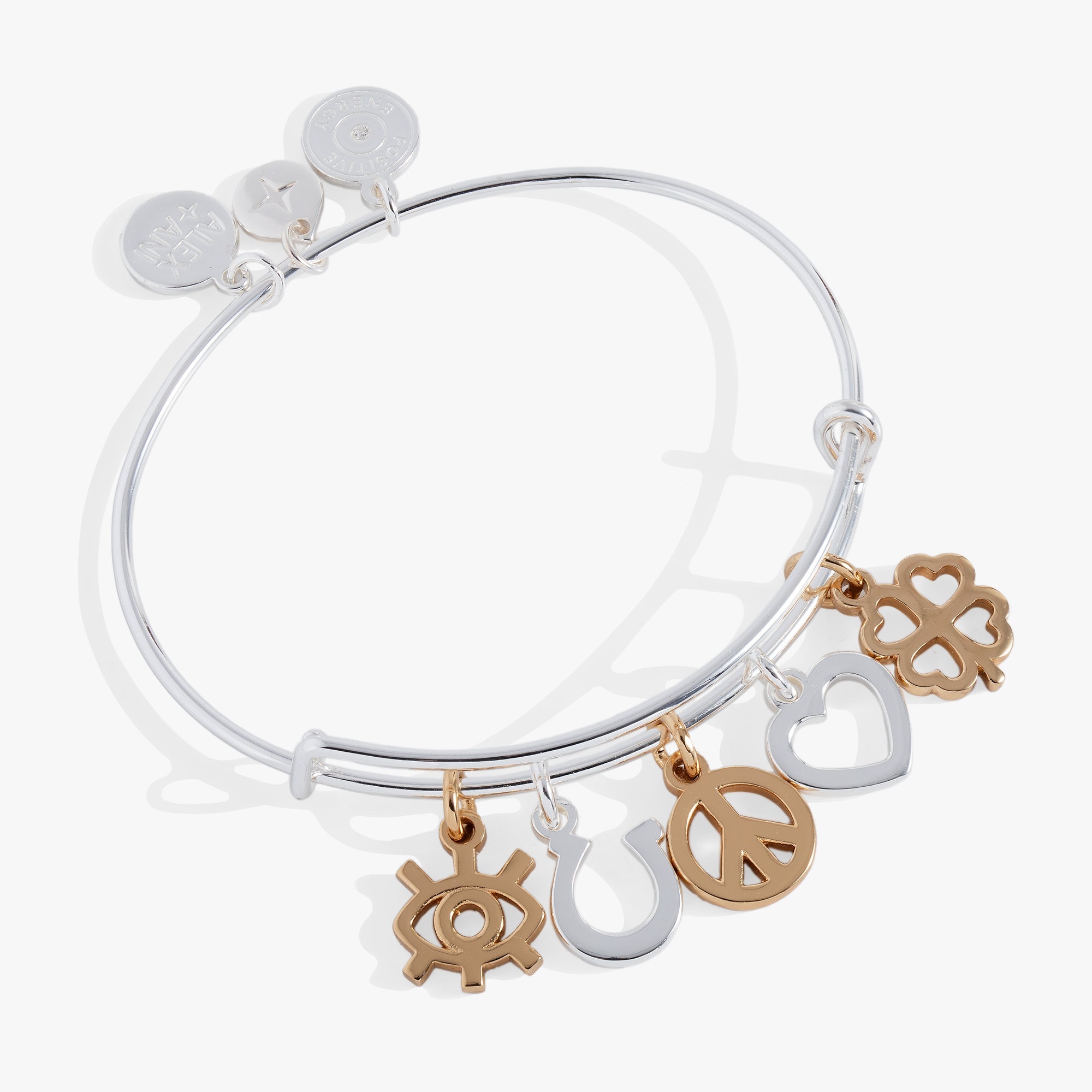 Mixed Symbol Multi-Charm Bangle Two Tone | Alex and Ani