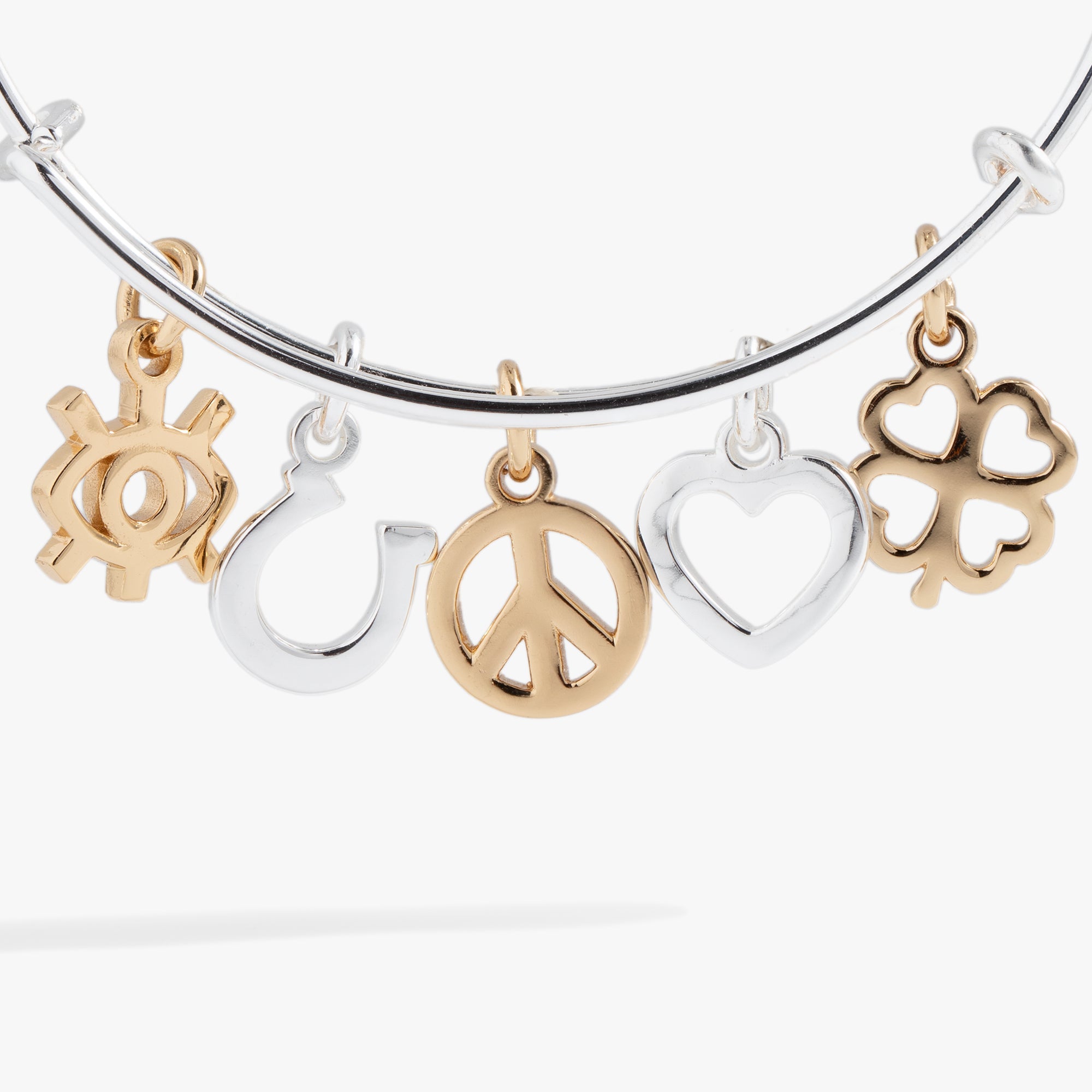 Mixed Symbol Multi-Charm Bangle Two Tone | Alex and Ani