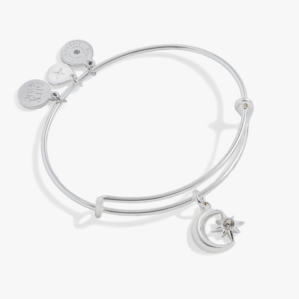 Star and Moon Charm Bangle Silver | Alex and Ani
