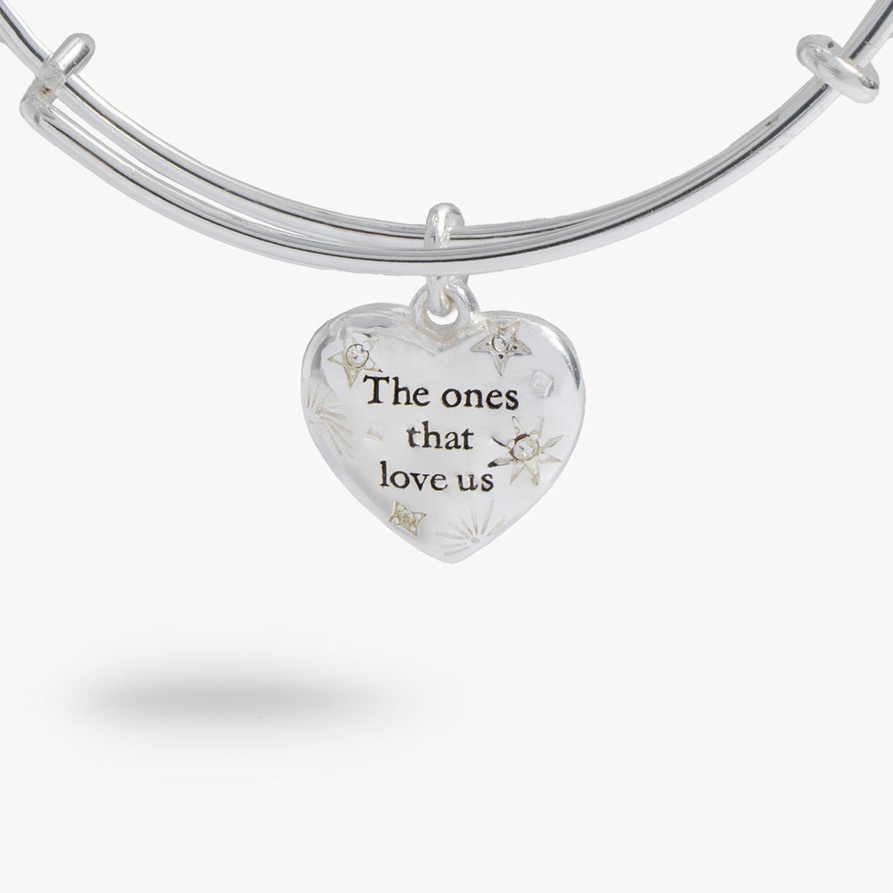 Harry Potter “The Ones That Love Us” Bangle Silver | Alex and Ani