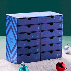 12 Pc Jewelry Set + Advent Calendar Box  | Alex and Ani