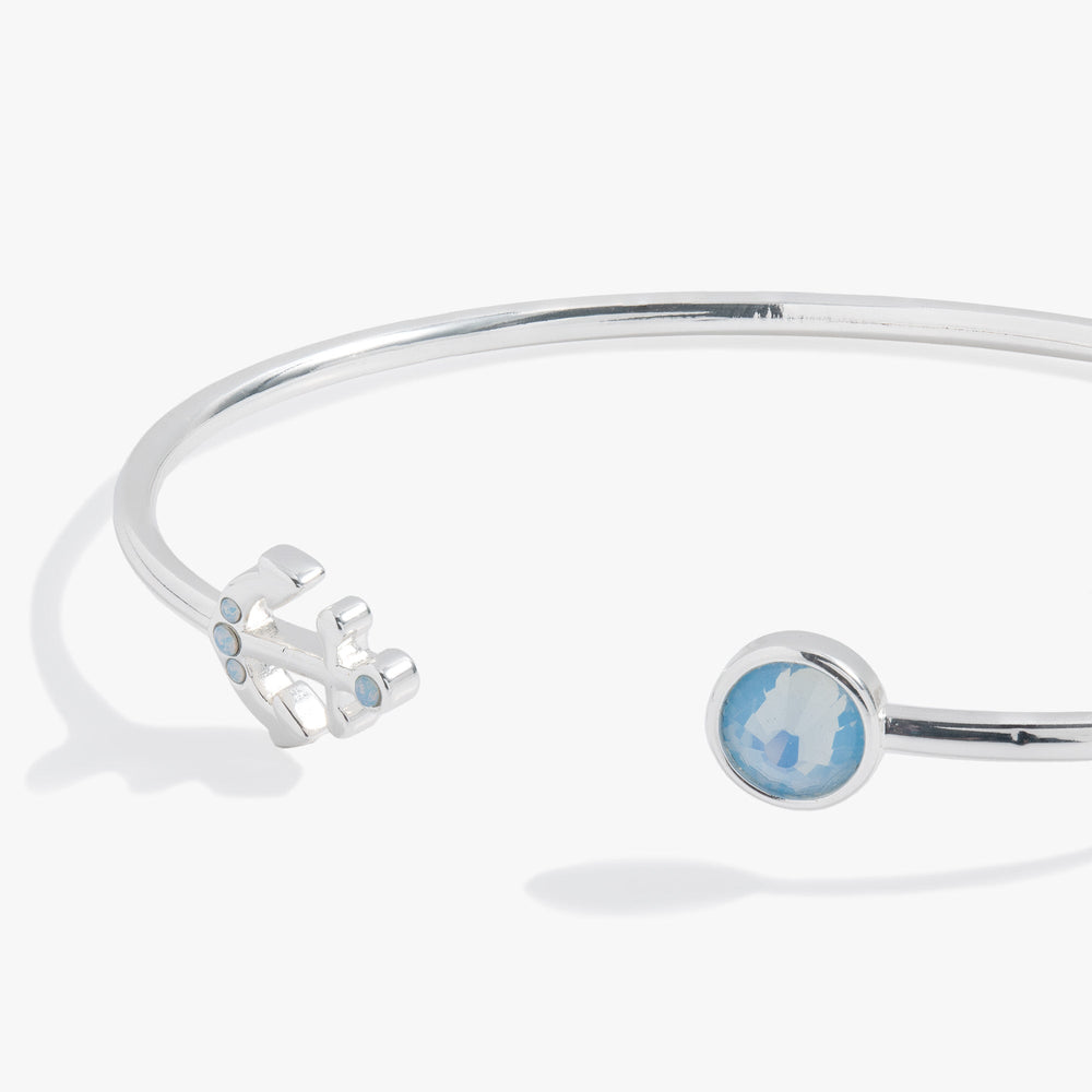 Anchor Flex Cuff Two Tone | Alex and Ani