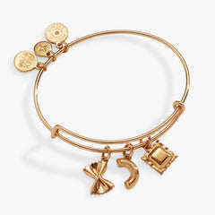 Pasta Multi Charm Bangle Gold | Alex and Ani