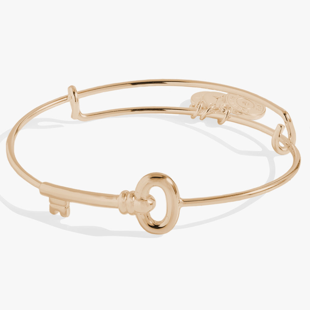 Key Bangle Silver | Alex and Ani