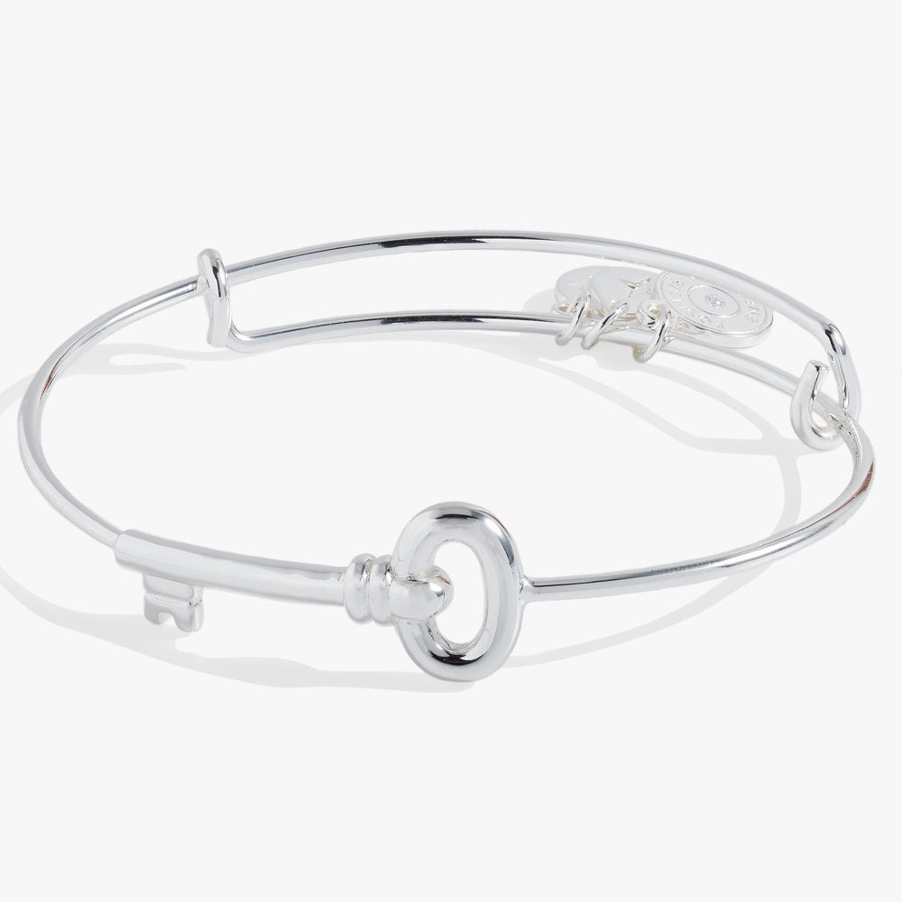 Key Bangle Silver | Alex and Ani