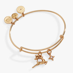 Holiday Reindeer Bangle Gold | Alex and Ani